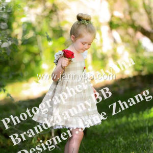 girls check flower embroidered dress